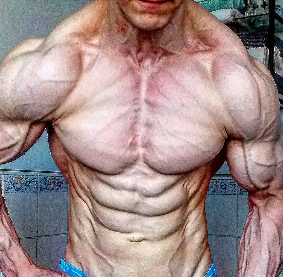 Austrian Aesthetics: The Road To Vienna Npc Show | Bodybuilding, Muscle ...
