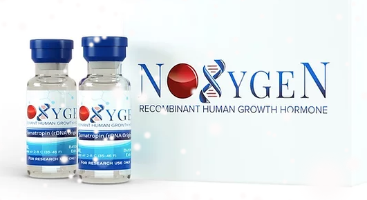 Noxygen - 65 euro.PNG