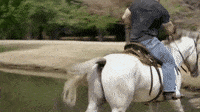 SnappyDampCondor-max-1mb.gif