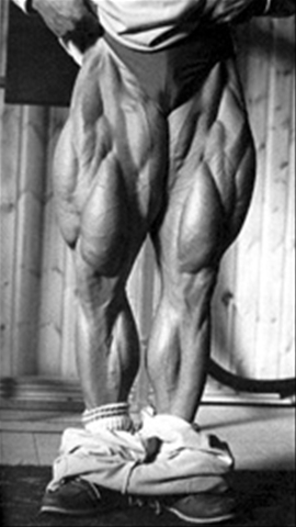 tom-platz-thighs.jpg